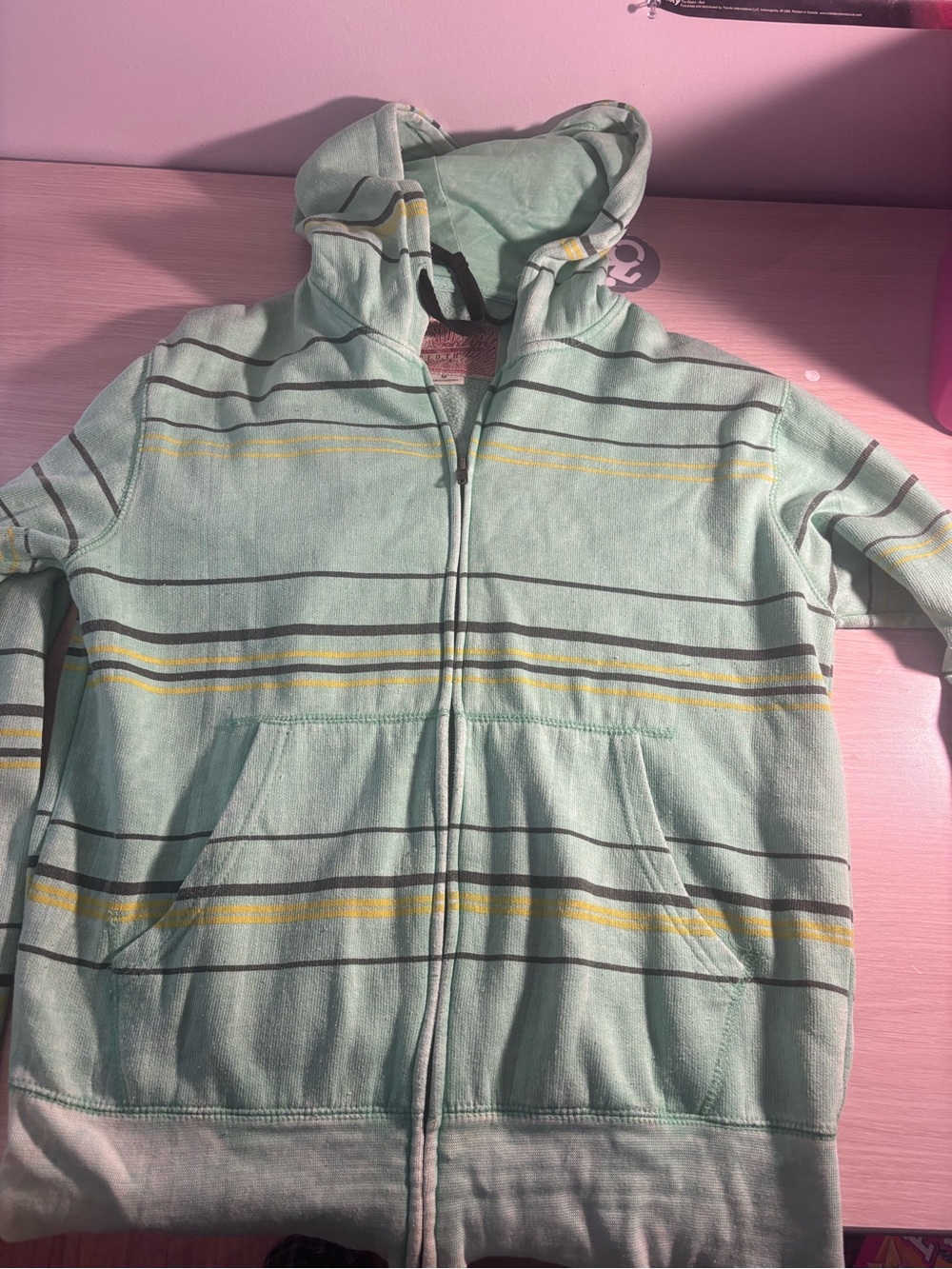 Mint Green Striped Zip-Up Hoodie